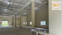 Cho thuê nhà xưởng Bình Chiểu, Thủ Đức, HCM 1.400m²