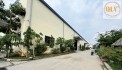 Bán nhà xưởng Khánh Bình, Tân Uyên, Bình Dương 9.313m²