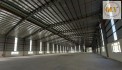 Cho thuê nhà xưởng KCN Mỹ Phước, Bến Cát, Bình Dương 20.019m²