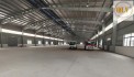 Cho thuê nhà xưởng – KCN Mỹ Phước, Bến Cát, Bình Dương – 2.022m²