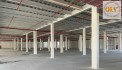 Cho thuê nhà xưởng mới xây dựng Tân Vĩnh Hiệp, Tân Uyên 31.027m²