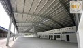 CHO THUÊ NHÀ XƯỞNG – TÂN UYÊN, BÌNH DƯƠNG – 19.000m²