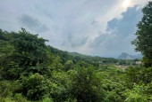 bán đất nghỉ dưỡng lương sơn hòa bình dt 2,5ha vew cánh đồng bám suối