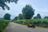 Đất nghỉ dưỡng Hòa Lạc sát vành đai 5 sẵn sổ giá chỉ vài triệu/m2