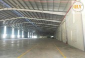Bán nhà xưởng – BẾN CÁT, BÌNH DƯƠNG – 19.189 m²