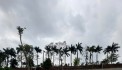 Cách Hà Nội chưa đến 28km thuận tiện di chuyển