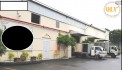 Cần bán nhà xưởng – KCN Đông Xuyên, Vũng Tàu – 1.500m²