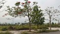 đất đồng tiến tân vinh lương sơn