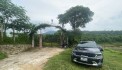 bán đất nghỉ dưỡng lương sơn hòa bình dt 2,5ha vew cánh đồng bám suối