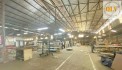 BÁN / CHO THUÊ NHÀ XƯỞNG – CCN TÂN MỸ CHÁNH, TP. MỸ THO, TIỀN GIANG – 1.500m²