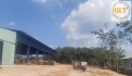 Cho thuê nhà xưởng – ĐỒNG PHÚ, BÌNH PHƯỚC – 7.597m²
