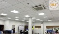 Cho thuê đất, nhà xưởng KCN Đất Đỏ, BRVT 5.069m²