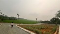 MỞ CỬA RA LÀ CÁNH ĐỒNG LÚA CHÍN KHU NGHỈ DƯỠNG VIEW ĐỒNG QUÊ 