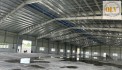 Cho thuê nhà xưởng mới xây dựng – KCN Cái Mép, Bà Rịa – Vũng Tàu – 6.294m²