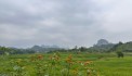 bán đất nghỉ dưỡng dt 4500m vew cánh đồng tại lương sơn hòa bình