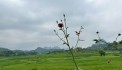 SIÊU PHẨM NGHỈ DƯỠNG 5 – VIEW TRIỆU ĐÔ GIỮA LÒNG THIÊN NHIÊN