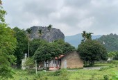  SIÊU PHẨM NHÀ VƯỜN VIEW NÚI ĐÁ – CÁNH ĐỒNG XANH MƯỚT 