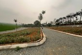 CƠ HỘI VÀNG ĐÓN ĐẦU LÀN SÓNG DỊCH CHUYỂN VỀ VỆ TINH HÒA LẠC