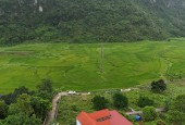 SỞ HỮU NGAY LÔ ĐẤT VIEW NÚI – KHÔNG GIAN NGHỈ DƯỠNG LÝ TƯỞNG PHÚ THỌ_HÒA BÌNH