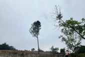LÔ GÓC TRIỆU VIEW HỒ ĐỒNG CHANH NHỎ, CẠNH HỒ ĐỒNG CHANH LỚN, MẶT TIỀN 36M. GIÁ SIÊU HẤP DẪN