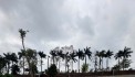 VIEW ĐẸP-GIÁ TỐT -PHÁP LÝ RÕ RÀNG - AN CƯ VỮNG CHẮC- ĐẦU TƯ SINH LỜI