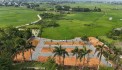 VIEW KHÔNG GIAN MỞ - CÁNH ĐỒNG LÚA RẤT HIẾM
