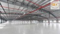 Cho thuê nhà xưởng – KCN VSIP 2 mở rộng, BẾN CÁT, BÌNH DƯƠNG – 17.600m²
