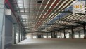 Cho thuê nhà xưởng – KCN Mỹ Xuân, Bà Rịa - Vũng Tàu – 5.675m²
