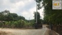 Bán / Cho thuê nhà xưởng khuôn viên riêng – Lai Uyên, Bàu Bàng, Bình Dương – 6.955m²