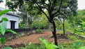nhỉnh tỷ lô đất dt 139m bám đường bê tông 10m tại cư yên lương sơn hòa bình