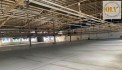 Cho thuê nhà xưởng khuôn viên lớn – KCN Nhơn Trạch, Đồng Nai – 17.900m²