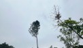 LÔ GÓC TRIỆU VIEW HỒ ĐỒNG CHANH NHỎ, CẠNH HỒ ĐỒNG CHANH LỚN, MẶT TIỀN 36M. GIÁ SIÊU HẤP DẪN