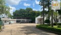 CHO THUÊ / BÁN NHÀ XƯỞNG MAY MẶC – KCN VIỆT HƯƠNG 1, THUẬN AN, BÌNH DƯƠNG – 10.000m²