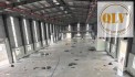 CHO THUÊ XƯỞNG MỚI TRONG KCN NAM THUẬN, LONG AN – 5.850m²