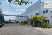 CHO THUÊ NHÀ XƯỞNG KCN TAM PHƯỚC – BIÊN HÒA, ĐỒNG NAI – 15.170m²