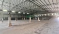 CHO THUÊ NHÀ XƯỞNG THỦ DẦU MỘT, BÌNH DƯƠNG – 2.000m²