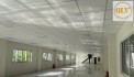 CHO THUÊ NHÀ XƯỞNG KCN TAM PHƯỚC – BIÊN HÒA, ĐỒNG NAI – 15.170m²