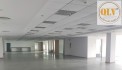 CHO THUÊ NHÀ XƯỞNG 4 TẦNG KCN LONG HẬU, LONG AN – 18.468m²