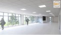 CHO THUÊ NHÀ XƯỞNG KCN LONG HẬU, CẦN GIUỘC, LONG AN – 12.000m²