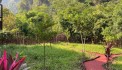 Cần bán gấp có 1.350m2 đất Homestay hồ Thác Bà - Yên Bái 1tỷ150