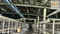 CHO THUÊ / BÁN NHÀ XƯỞNG KCN AMATA – BIÊN HÒA, ĐỒNG NAI – 10.679m²