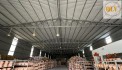 CHO THUÊ XƯỞNG TẠI AN ĐIỀN, BẾN CÁT, BÌNH DƯƠNG – 1.800m²