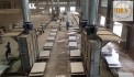 CHO THUÊ XƯỞNG SẢN XUẤT GỖ – PHUN SƠN TẠI BẮC TÂN UYÊN, BÌNH DƯƠNG – 21.000m²