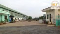 CHO THUÊ XƯỞNG SẢN XUẤT GỖ – PHUN SƠN TẠI BẮC TÂN UYÊN, BÌNH DƯƠNG – 21.000m²