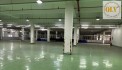 BÁN NHÀ XƯỞNG DỆT MAY TRONG KCN PHÚ MỸ, BÀ RỊA – VŨNG TÀU – 98.801m²
