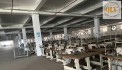 BÁN NHÀ XƯỞNG DỆT MAY TRONG KCN PHÚ MỸ, BÀ RỊA – VŨNG TÀU – 98.801m²