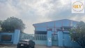 BÁN NHÀ XƯỞNG SẢN XUẤT – BÌNH CHÁNH, TP.HCM – 7.000m²