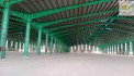 CHO THUÊ CỤM NHÀ XƯỞNG SẢN XUẤT KCN HÒA PHÚ – VĨNH LONG – 55.000m²