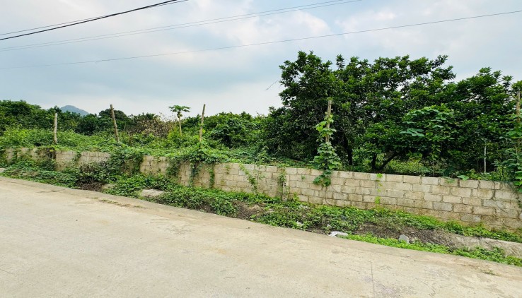 CẦN BÁN LÔ ĐẤT BÁM SÔNG BÔI VIEW CỰC ĐẸP TẠI MỊ HÒA - KIM BÔI - HÒA BÌNH