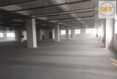 BÁN HOẶC CHO THUÊ NHÀ XƯỞNG CAO TẦNG – KCX TÂN THUẬN, QUẬN 7, TP.HCM – 7.500m²